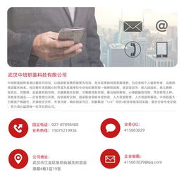 河南幼師資格證報考指南，兼談職業技能培訓與計算機行業